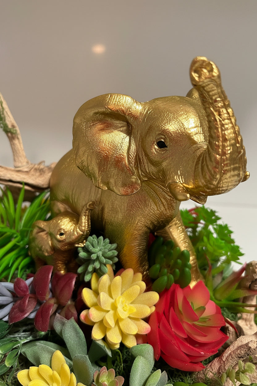 Mother & Baby Elephant Succulent Garden with Green Orchids – Gold Shell Arrangement