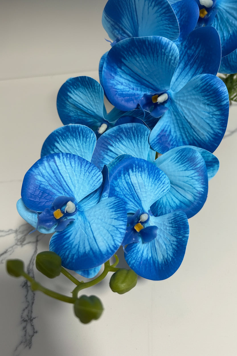 Glass Seashell with Orchids — Blue or Orange