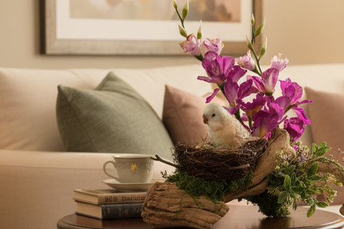 Parakeet Budgie Figurine on Grapewood Nest