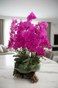 Violet Orchid Faux Floral Arrangement in Glass & Wood Vase