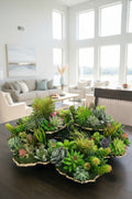 Succulent Garden in Golden Mounted Cups