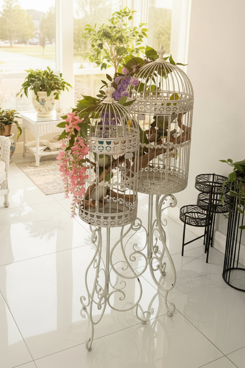 Parakeets in White Decorative Cage