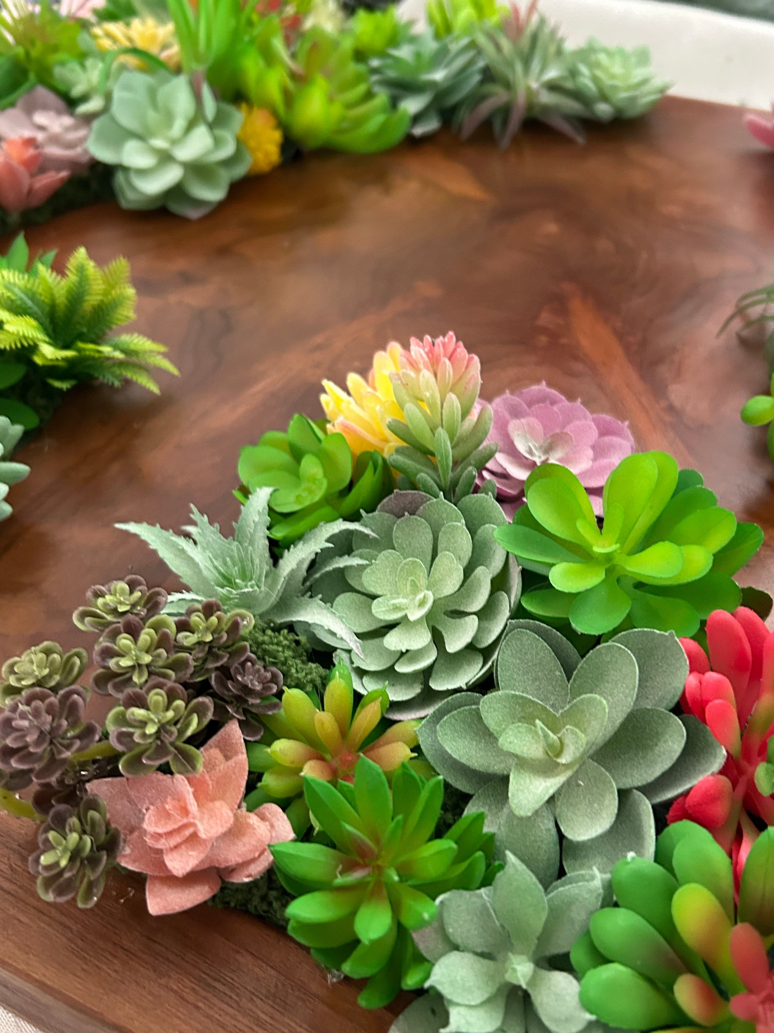 Succulent Hanging Garden