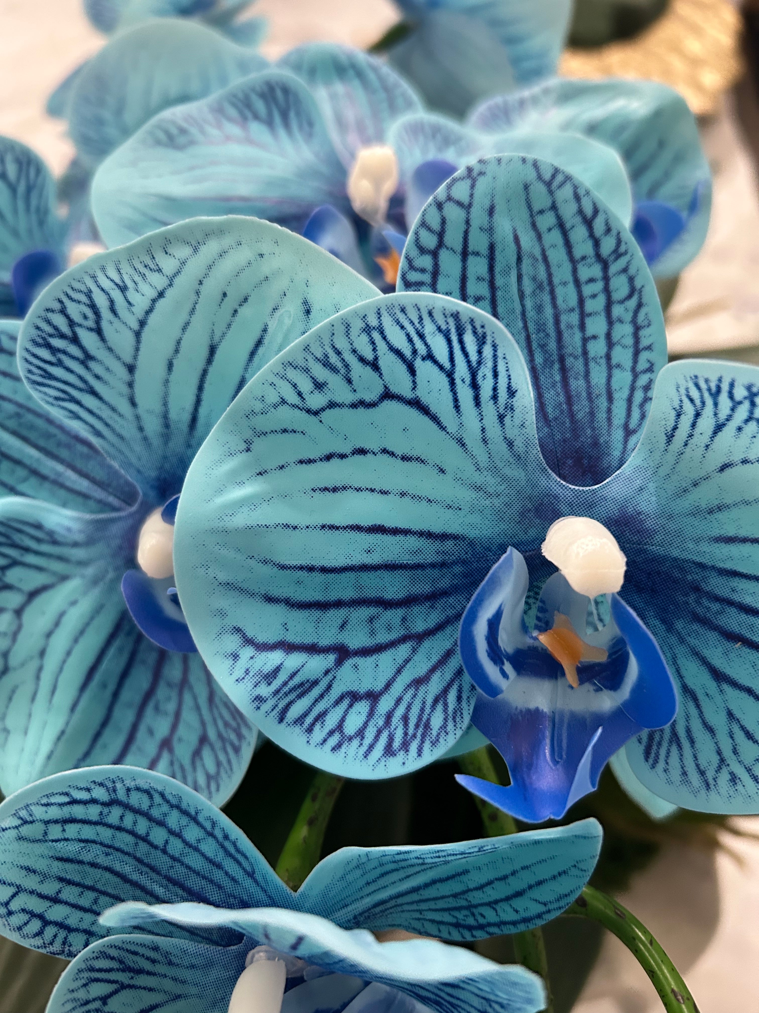 Seashell Vase with Blue Orchids