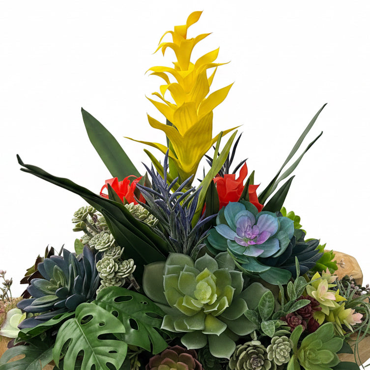 Bromeliad & Succulent Arrangement in Indonesian Wood Vase