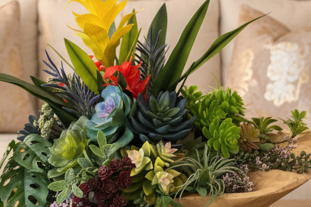 Bromeliad & Succulent Arrangement in Indonesian Wood Vase