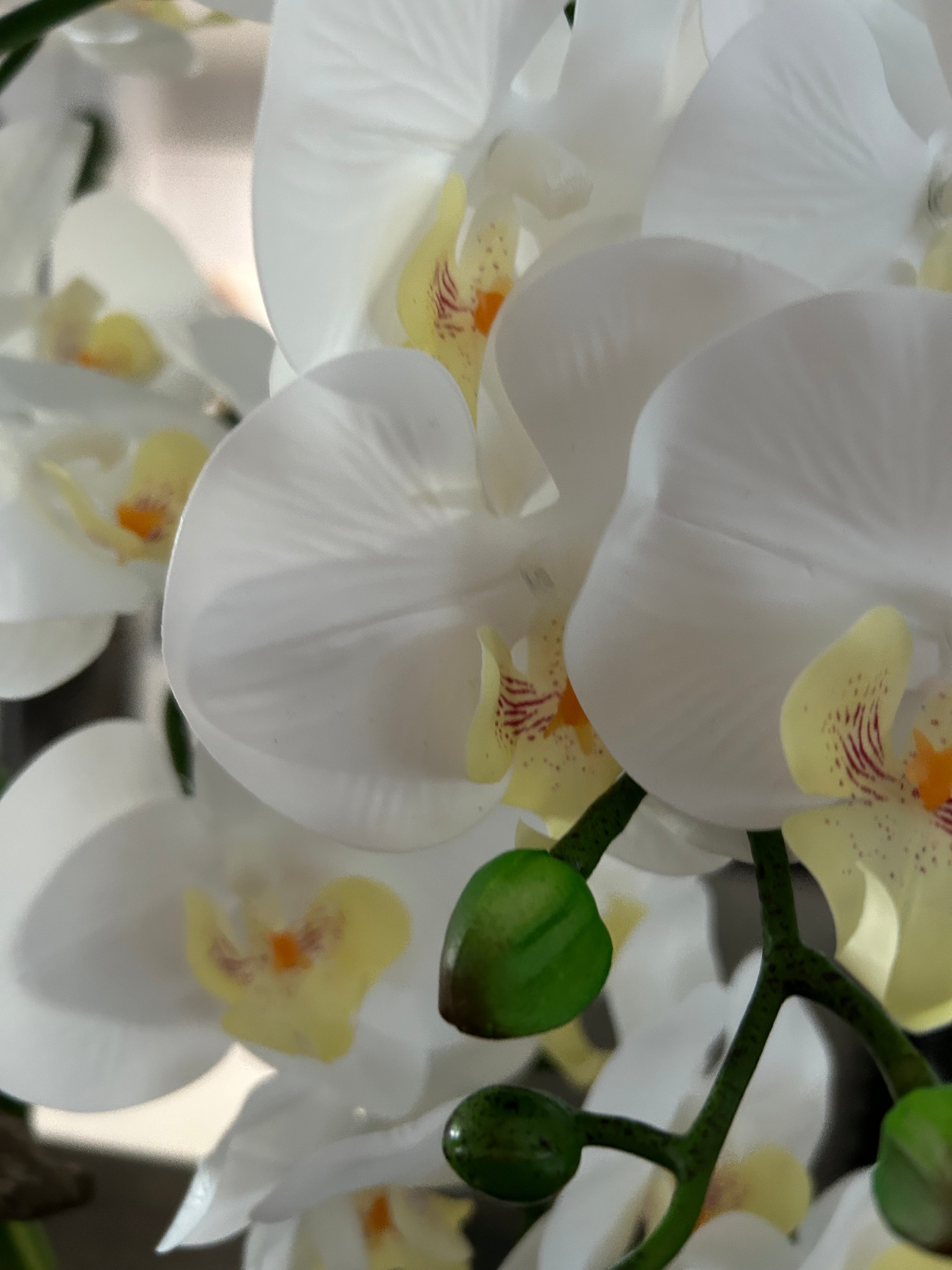 Green Parrot & White Orchid Faux Floral Sculpture