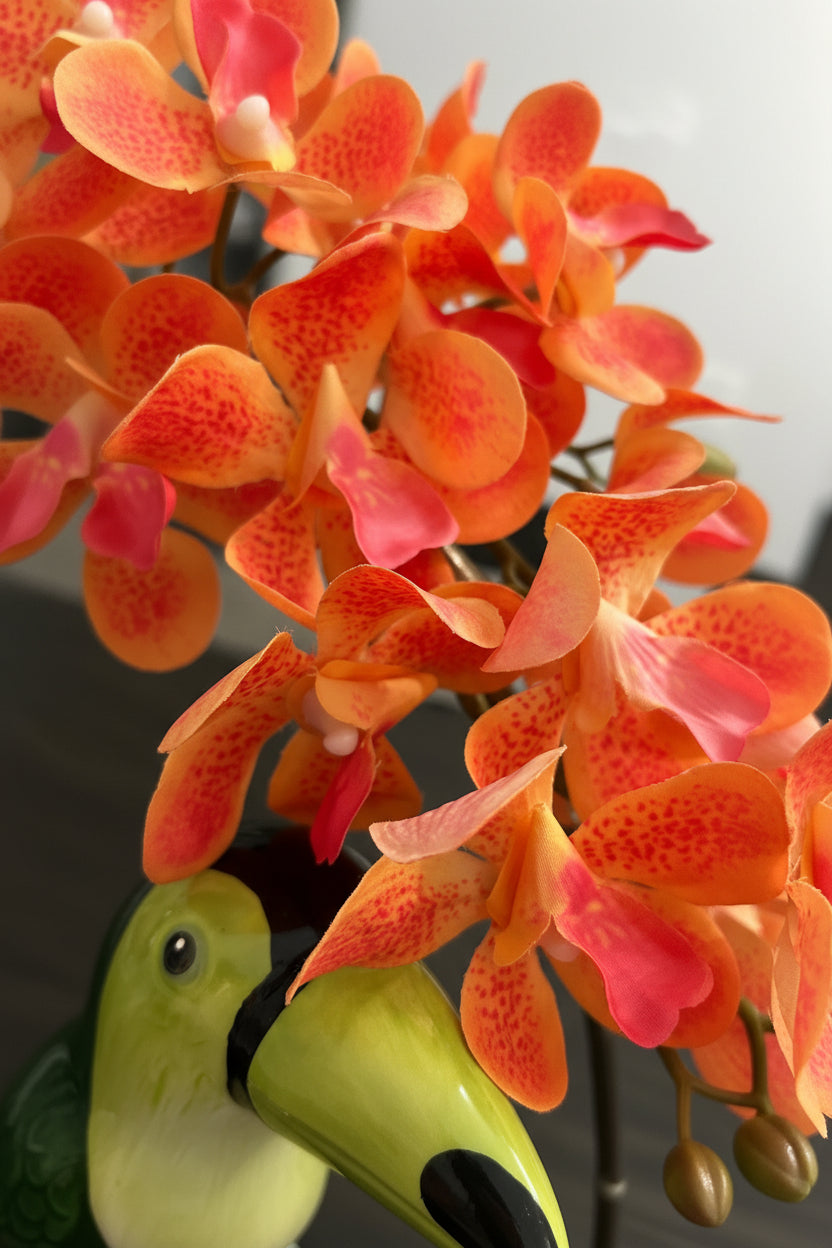 Toucan in Golden Ring | Faux Succulent & Orchid Arrangement