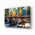 Parrots Glass Wall Art